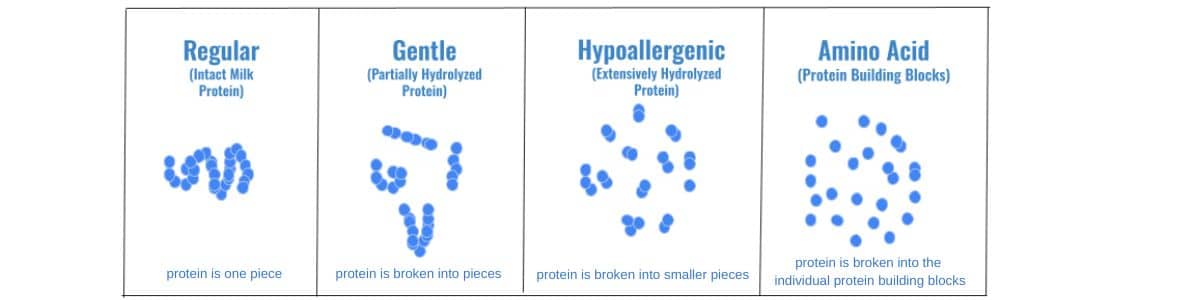 Graphic displays the visual change of infant formula as the protein is broken down: Regular (intact milk protein), Gentle (partially hydrolyzed protein), hypoallergenic (extensively hydrolyzed protein), and amino acid (protein building blocks). 